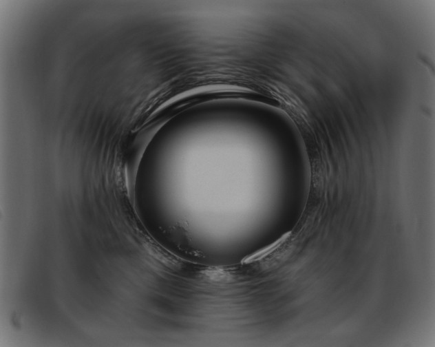 X0000093450425200710121358