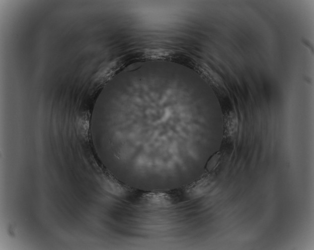 X0000093450427200710121358