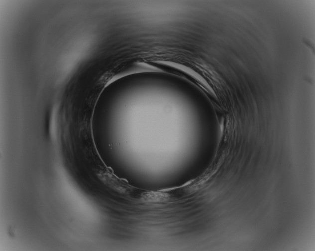 X0000093450429200710121358