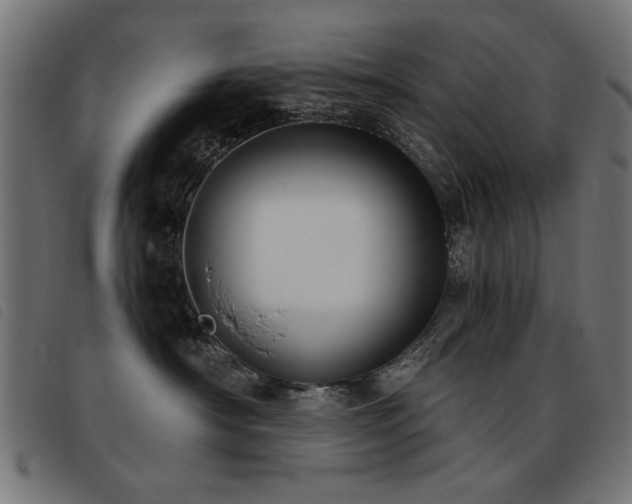 X0000093450430200710121358