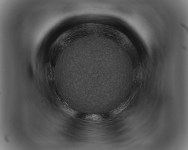 X0000093450431200710121358