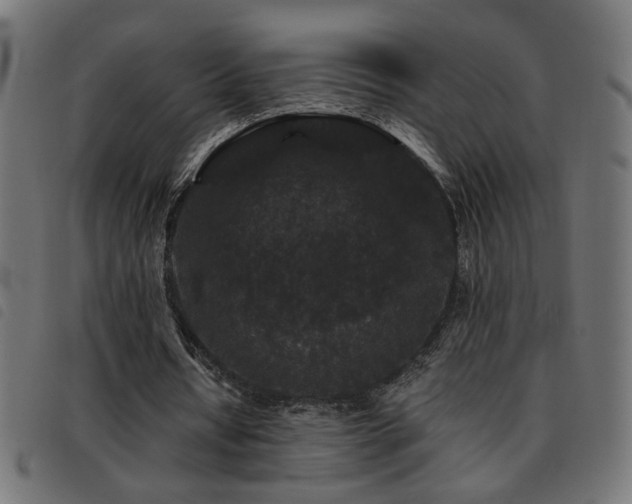 X0000093450434200710121357