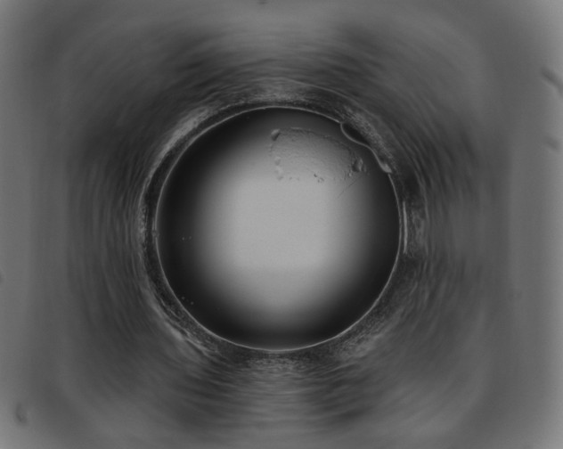 X0000093450435200710121357