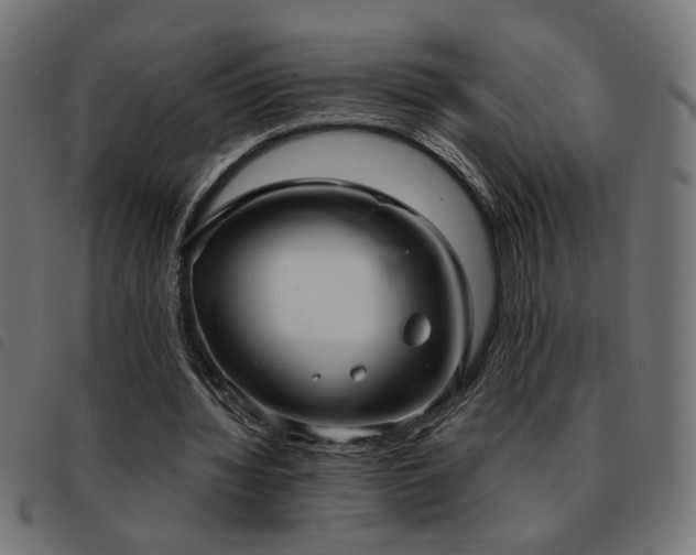 X0000093450436200710121357