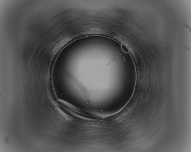 X0000093450437200710121357