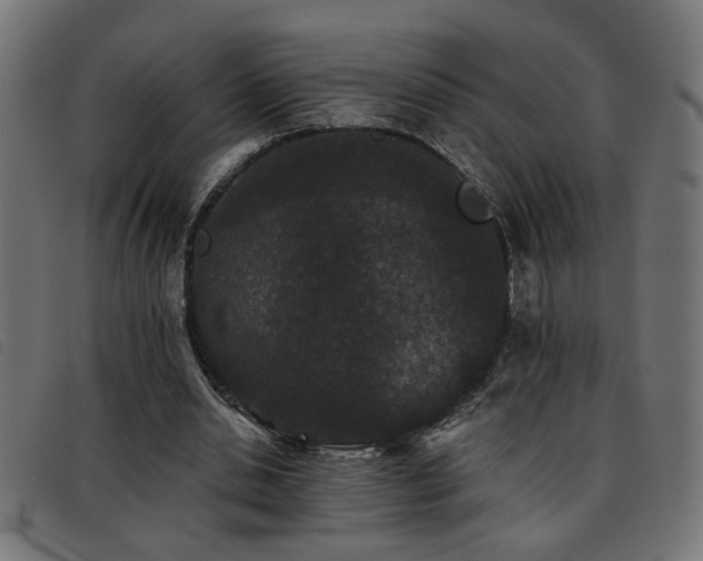 X0000093450438200710121357