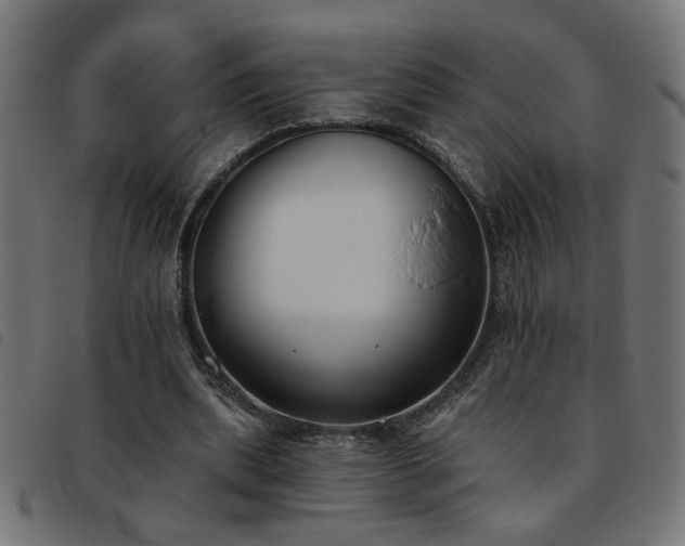 X0000093450439200710121357
