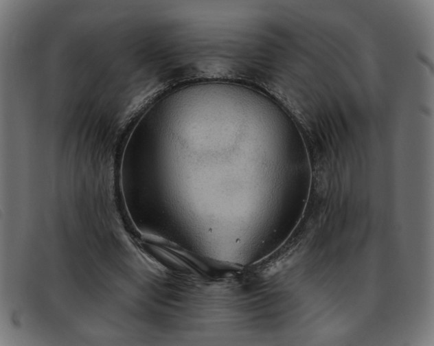 X0000093450442200710121357