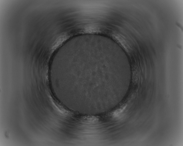 X0000093450443200710121357