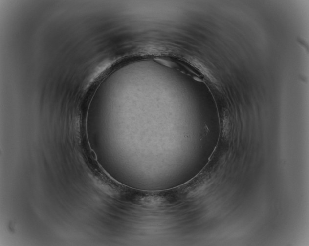 X0000093450444200710121357