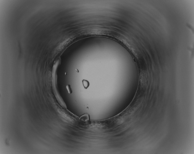 X0000093450445200710121357