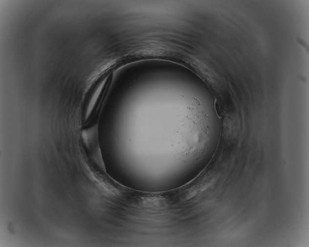 X0000093450446200710121357
