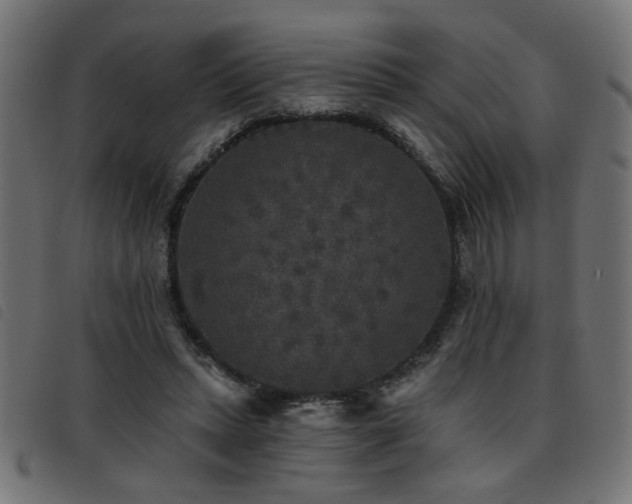X0000093450447200710121357