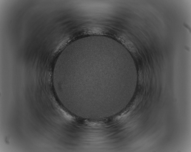X0000093450449200710121357
