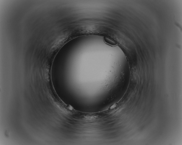 X0000093450450200710121357