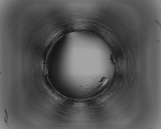 X0000093450454200710121357