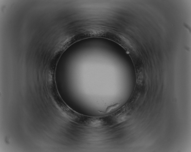 X0000093450456200710121357