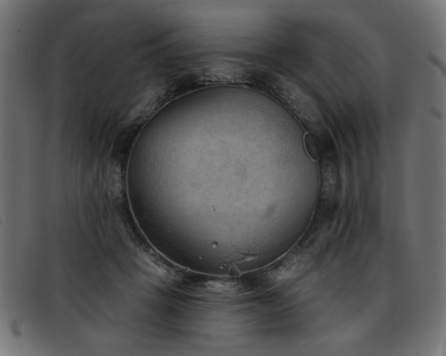 X0000093450457200710121357