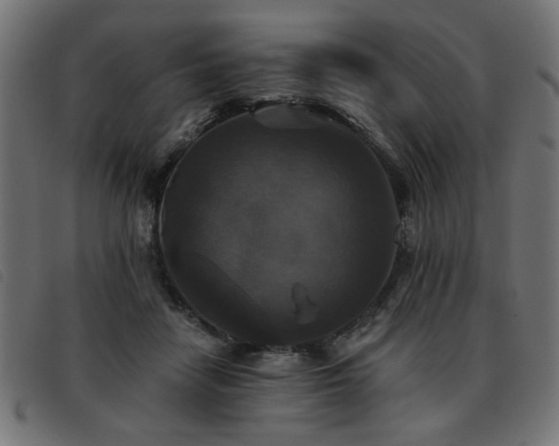 X0000093450458200710121357