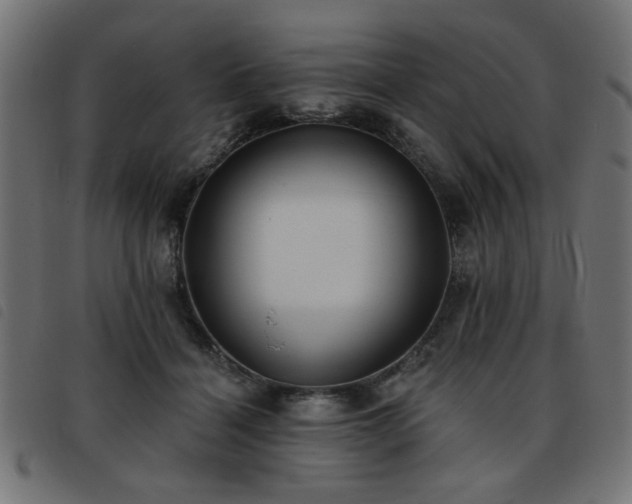 X0000093450460200710121357