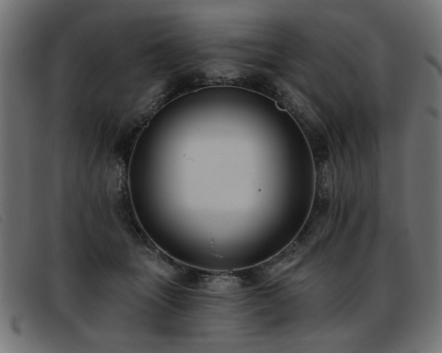 X0000093450463200710121358