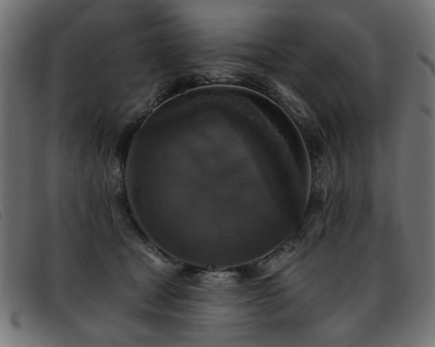X0000093450465200710121358