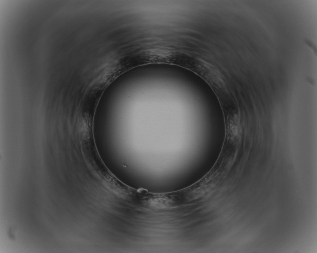 X0000093450468200710121358