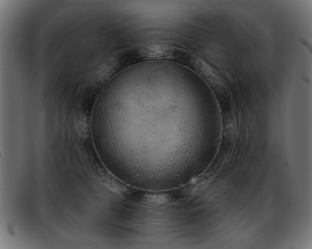 X0000093450469200710121358