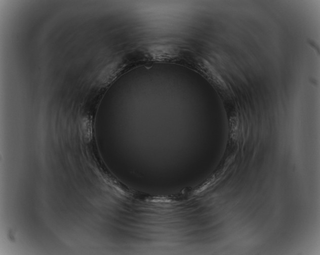 X0000093450471200710121358
