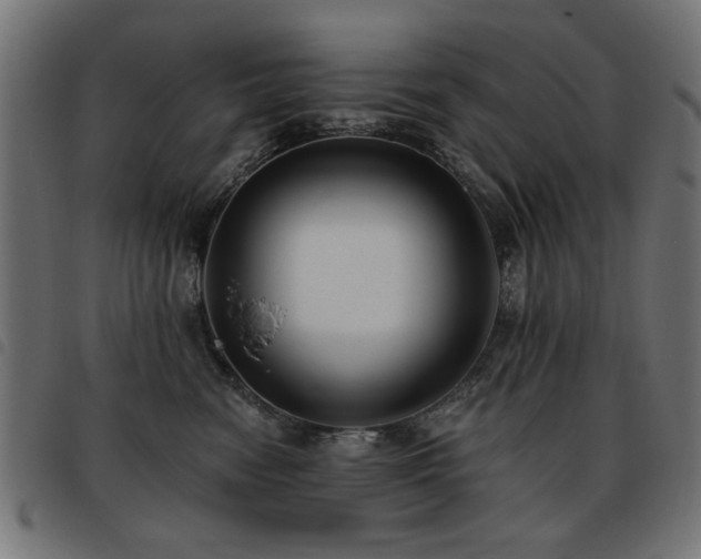 X0000093450474200710121358