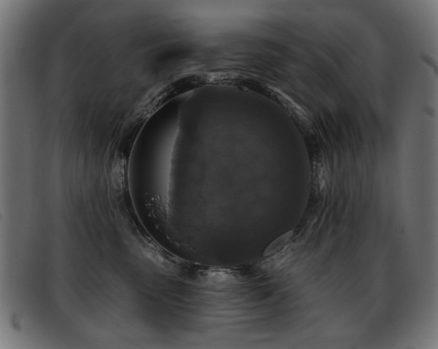 X0000093450475200710121358