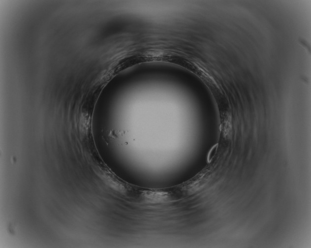 X0000093450476200710121358