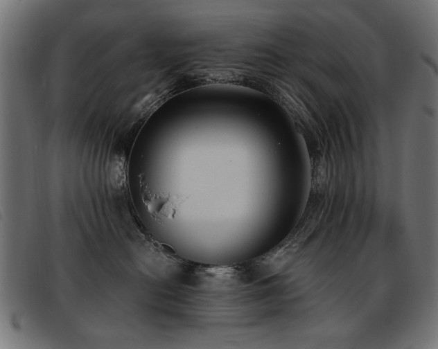X0000093450478200710121358
