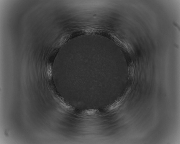 X0000093450479200710121358