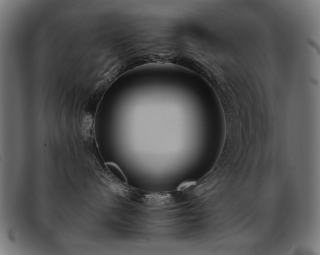 X0000093450480200710121358