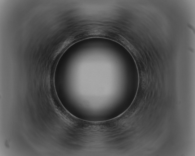 X0000093450482200710121357