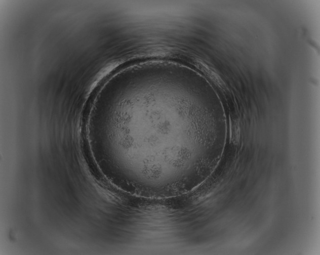 X0000093450483200710121357