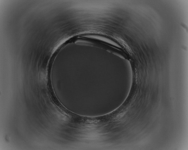 X0000093450484200710121357