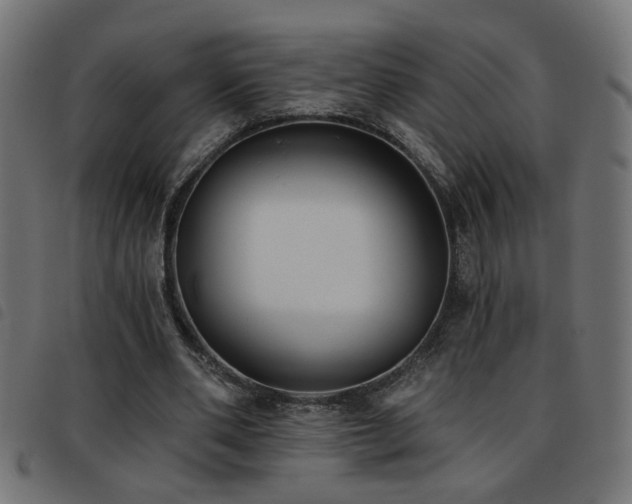 X0000093450486200710121357