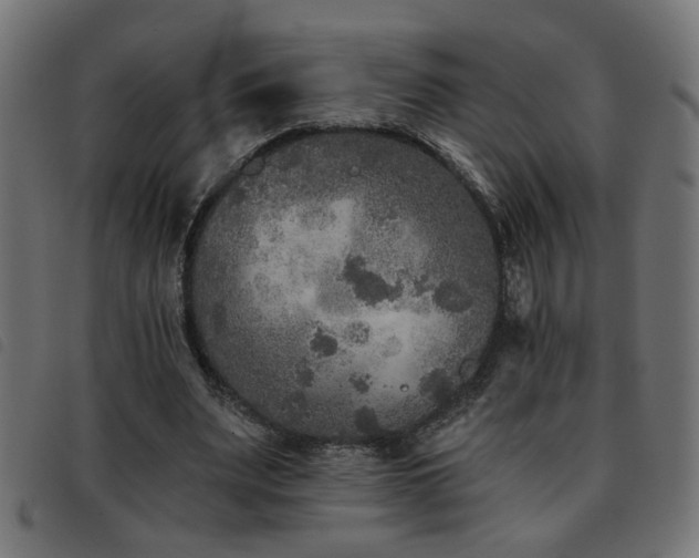 X0000093450487200710121357