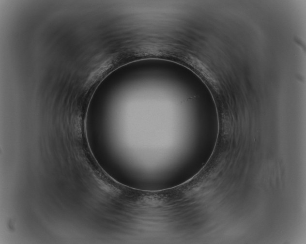 X0000093450489200710121357