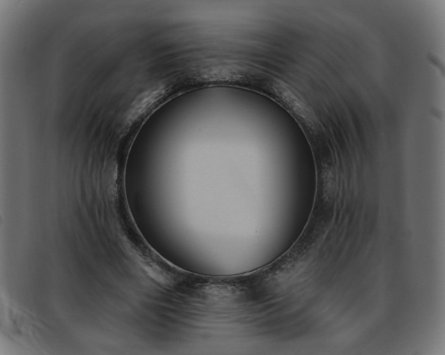 X0000093450490200710121357