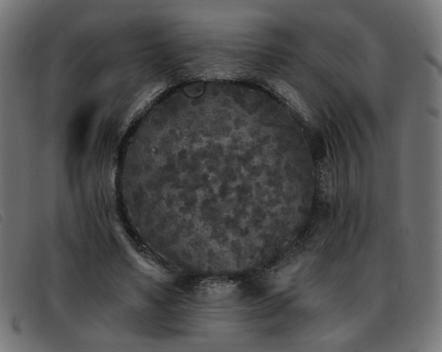 X0000093450491200710121357