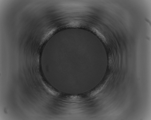 X0000093450493200710121357