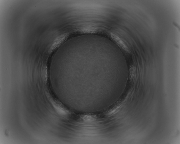X0000093450494200710121357