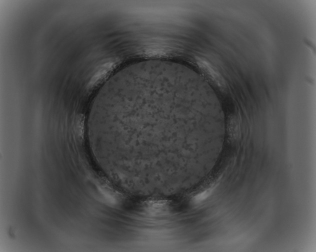 X0000093450495200710121357