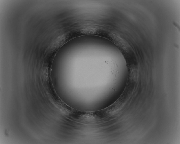 X0000093450498200710121357