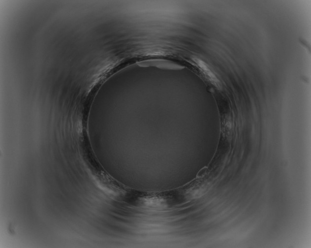 X0000093450500200710121357