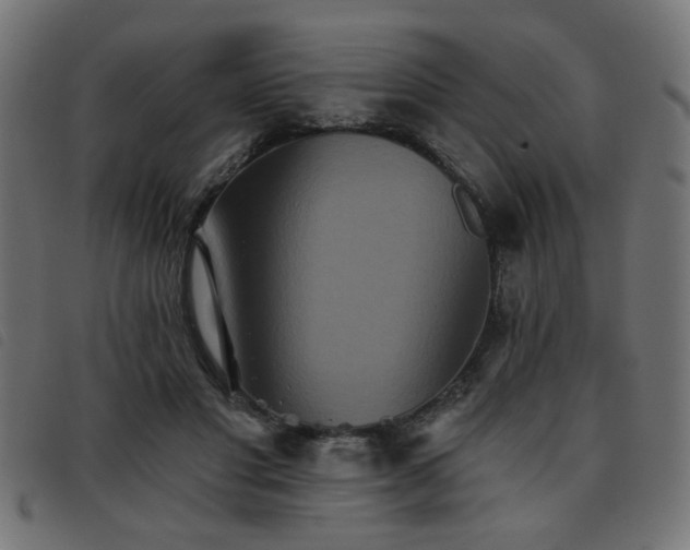 X0000093450501200710121357