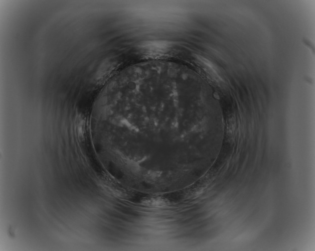 X0000093450503200710121357